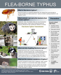 image of mother and child