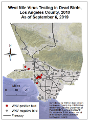 2019 minimap LA County dead birds WNV