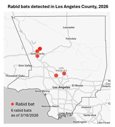 Map showing rabid bat detections in Los Angeles County since January 1, 2025