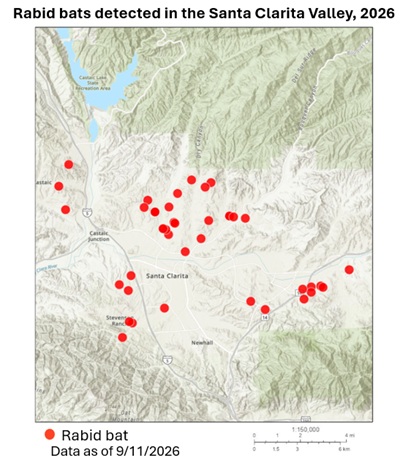 Map showing rabid bat detections in the Santa Clarita area of Los Angeles County since January 1, 2026