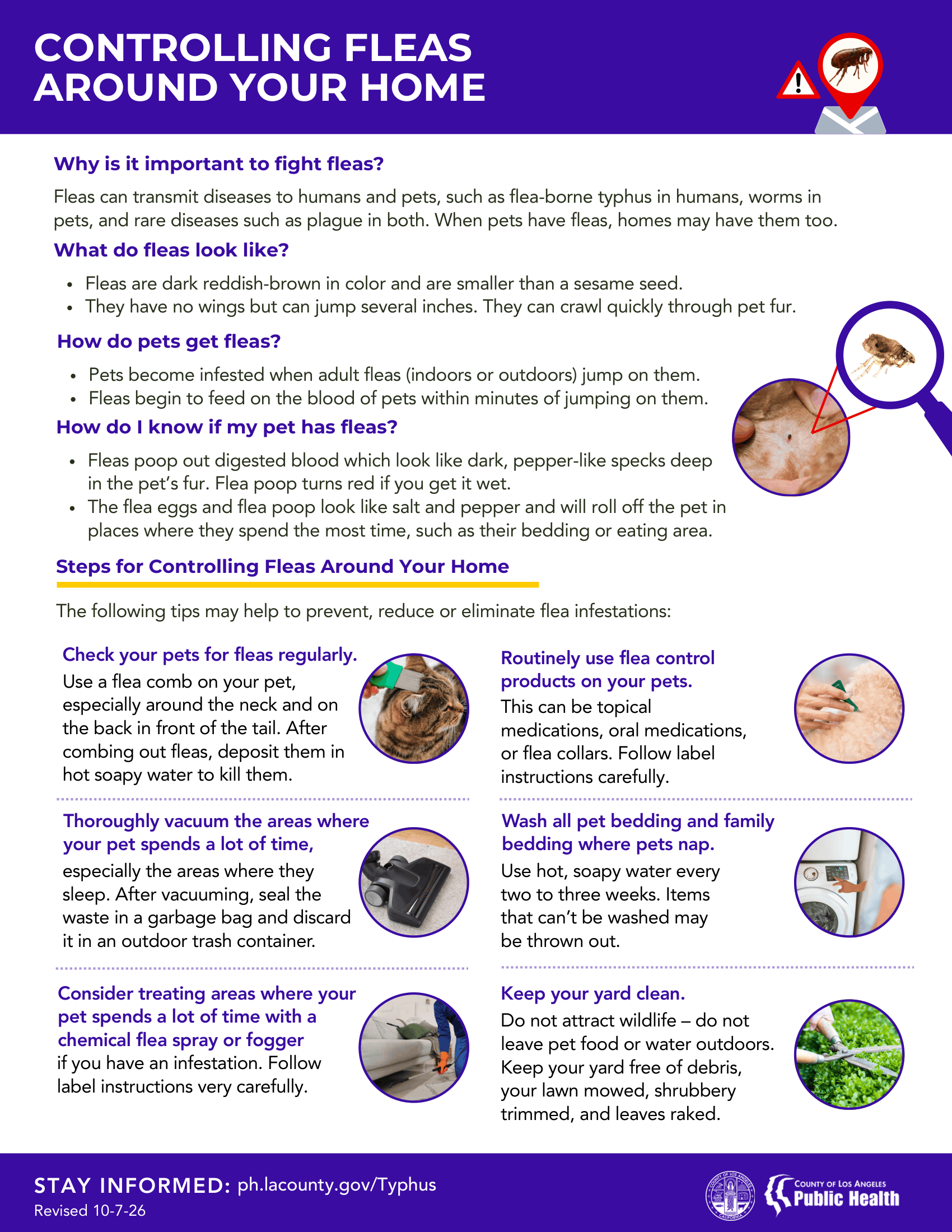 FBT - Controlling Fleas Around Your Home Flyer