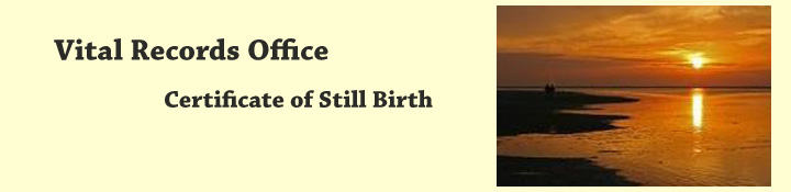 Still Birth Section Banner