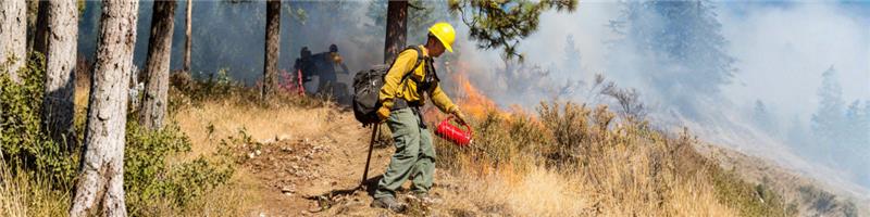 Prescribed fire information banner