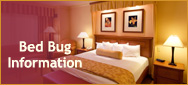 Bed Bugs