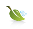Environmental Health