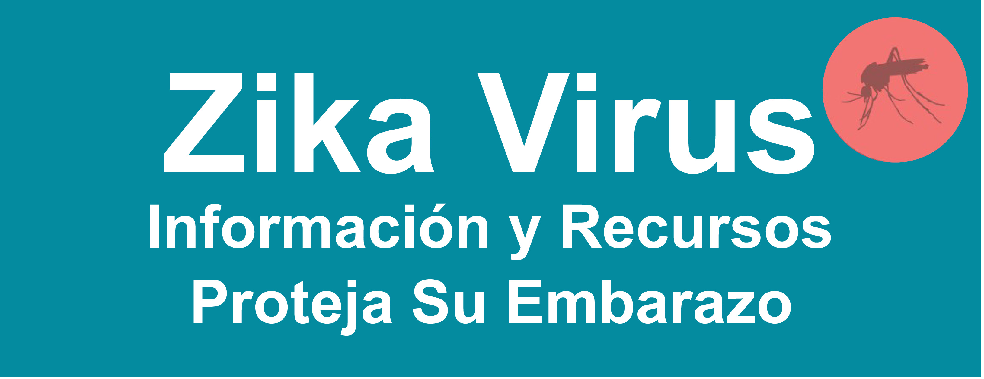 Zika Information on Protecting Your Pregnancy