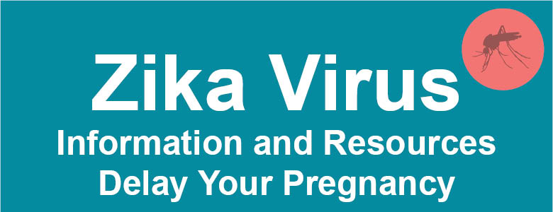 Zika Information on Delaying Your Pregnancy