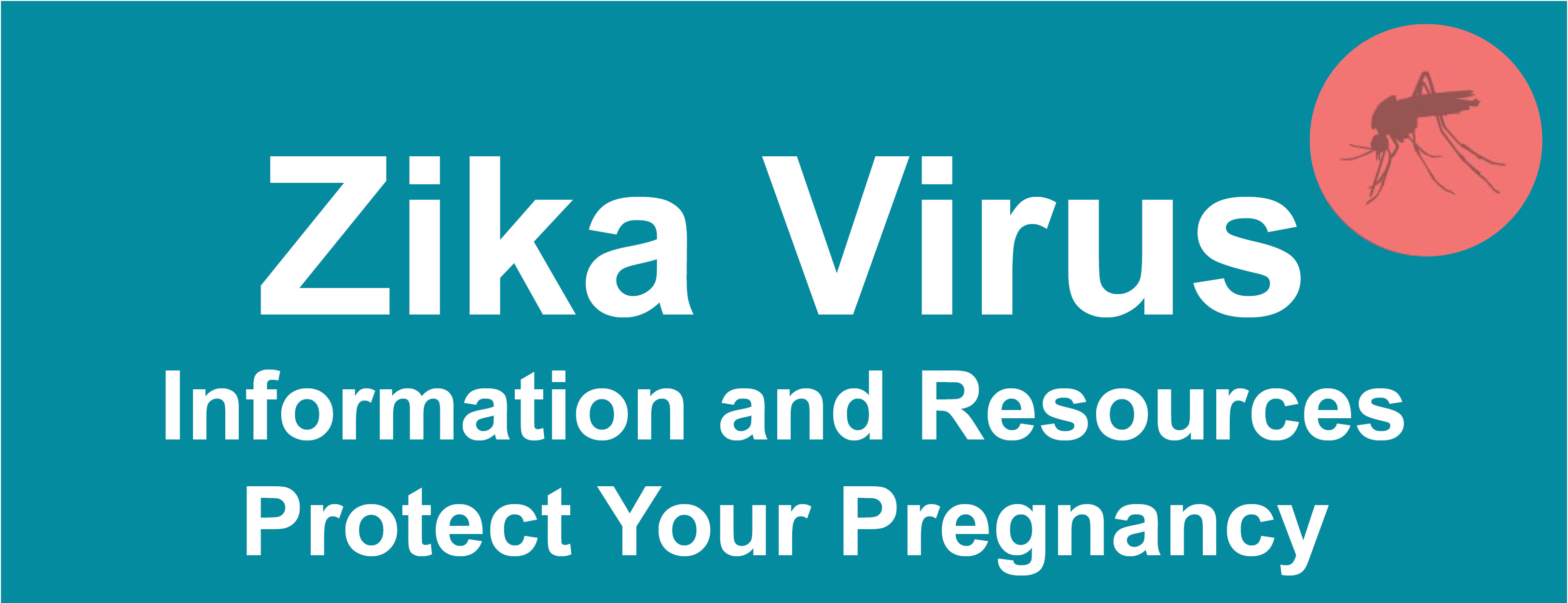 Zika Information on Protecting Your Pregnancy