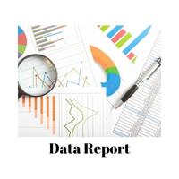 Data Report