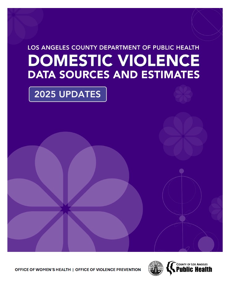 2025 DV Data Report