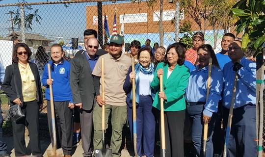 Tree Planting Team