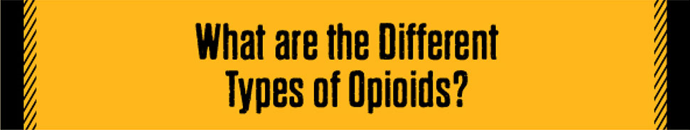 What are the Different Types of Opioids
