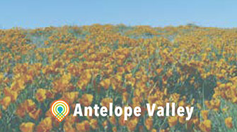 Antelope Valley