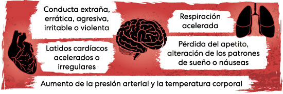 Icono del cerebro