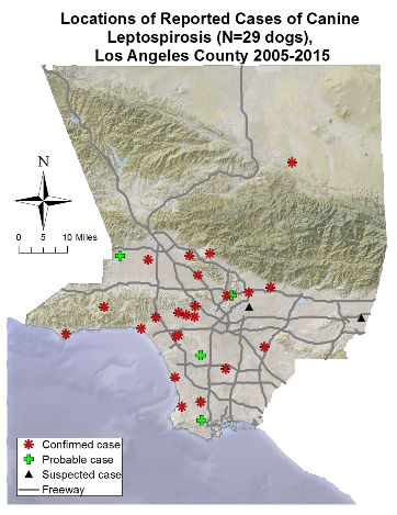2005-2015 map of lepto cases in dogs los angeles county