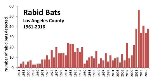 1961-2016 graph of rabid bats Los Angeles County