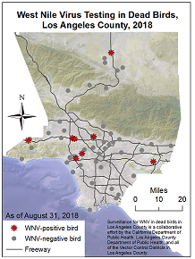 Icon for 2018 WNV Dead Bird Map