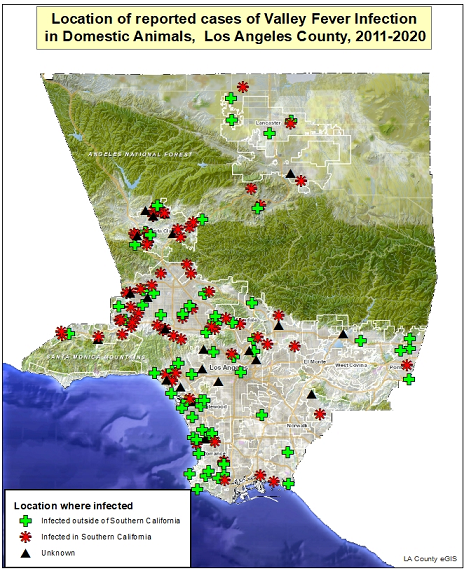 Map showing reported cases of coccidioidomycosis in animals in LA County from 2011-2020