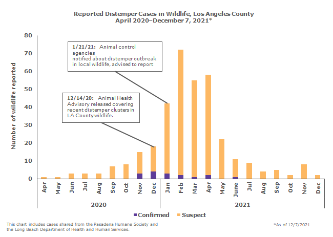 chart showing repoted distemper wildlife cases by month in Los Angeles County from April 2020 to December 7, 2021
