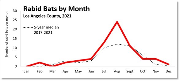 chart showing numbers of rabid bats found per month in Los Angeles County for 2021