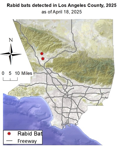 Map showing rabid bat detections in Los Angeles County since January 1, 2025