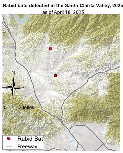 Map showing rabid bat detections in the Santa Clarita area of Los Angeles County since January 1, 2025