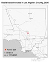 Link to 2026 rabid bat map for LA County