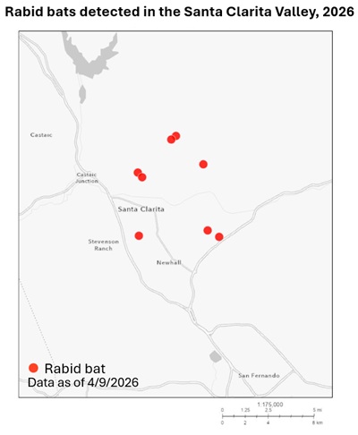 Map showing rabid bat detections in the Santa Clarita area of Los Angeles County since January 1, 2026
