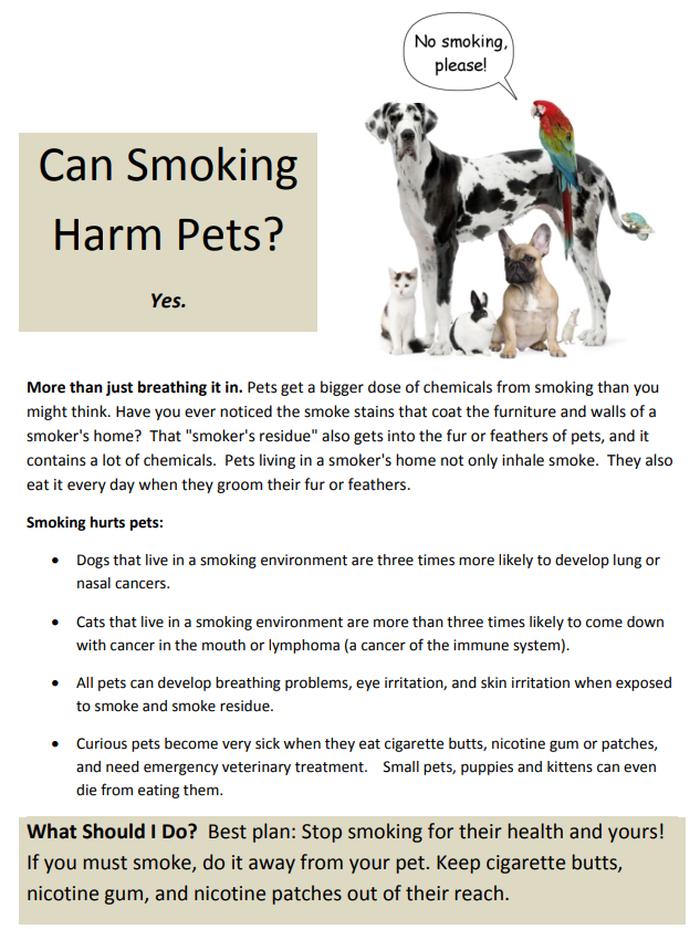 Smoking and Pets flyer