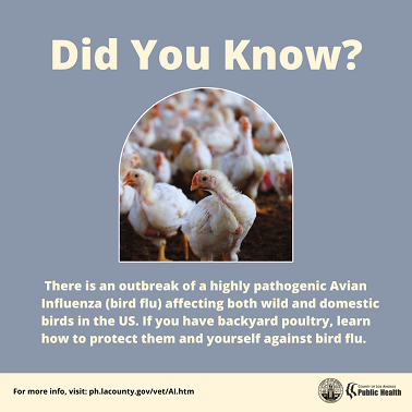 did you know about HPAI?