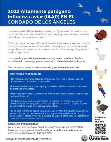 HPAI Flyer Esp