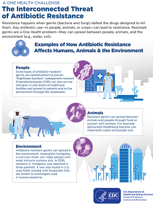 antibiotic resistance one health