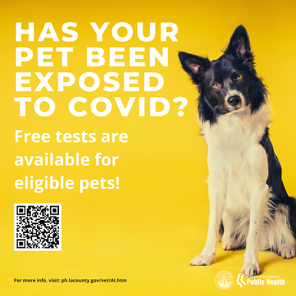 was your pet exposed to COVID?