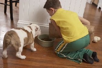 boy feeding a dog food