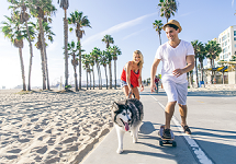 two people walking a husky near beach