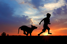boy and dog running at sunset