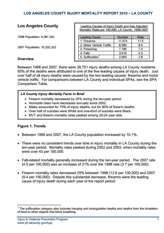 Los Angeles County Injury Mortality Report 2010