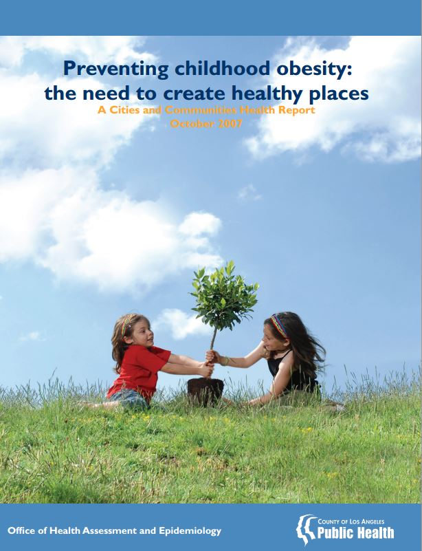 <br>Preventing childhood obesity: the need to 
create 
healthy places.<br>